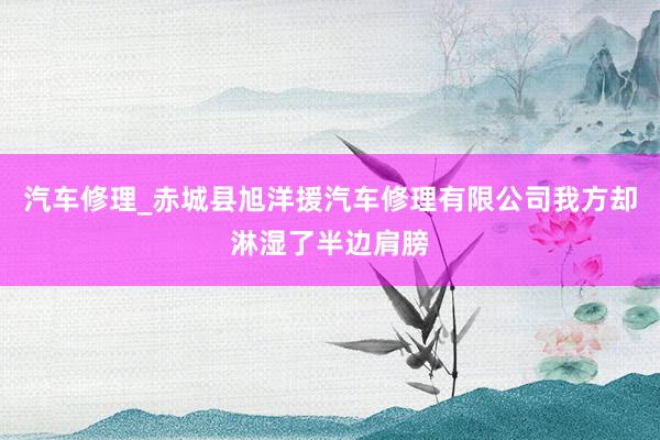 汽车修理_赤城县旭洋援汽车修理有限公司我方却淋湿了半边肩膀
