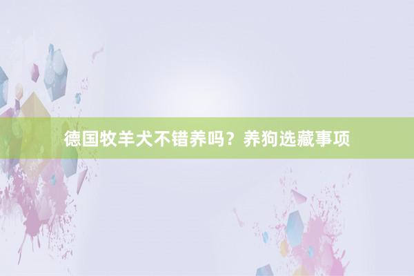 德国牧羊犬不错养吗？养狗选藏事项